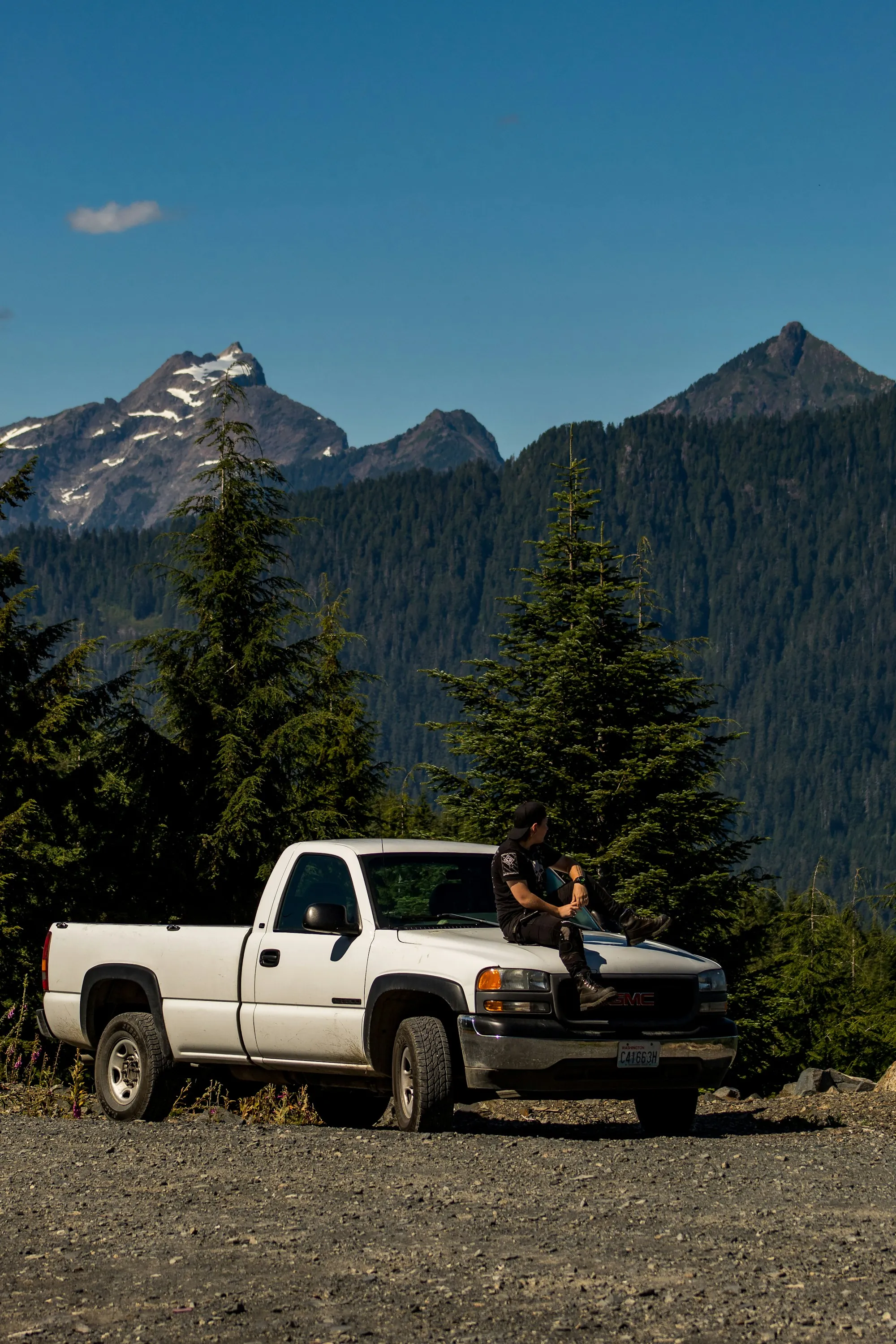 White pickup truck parked among pine trees beneath mountain peaks