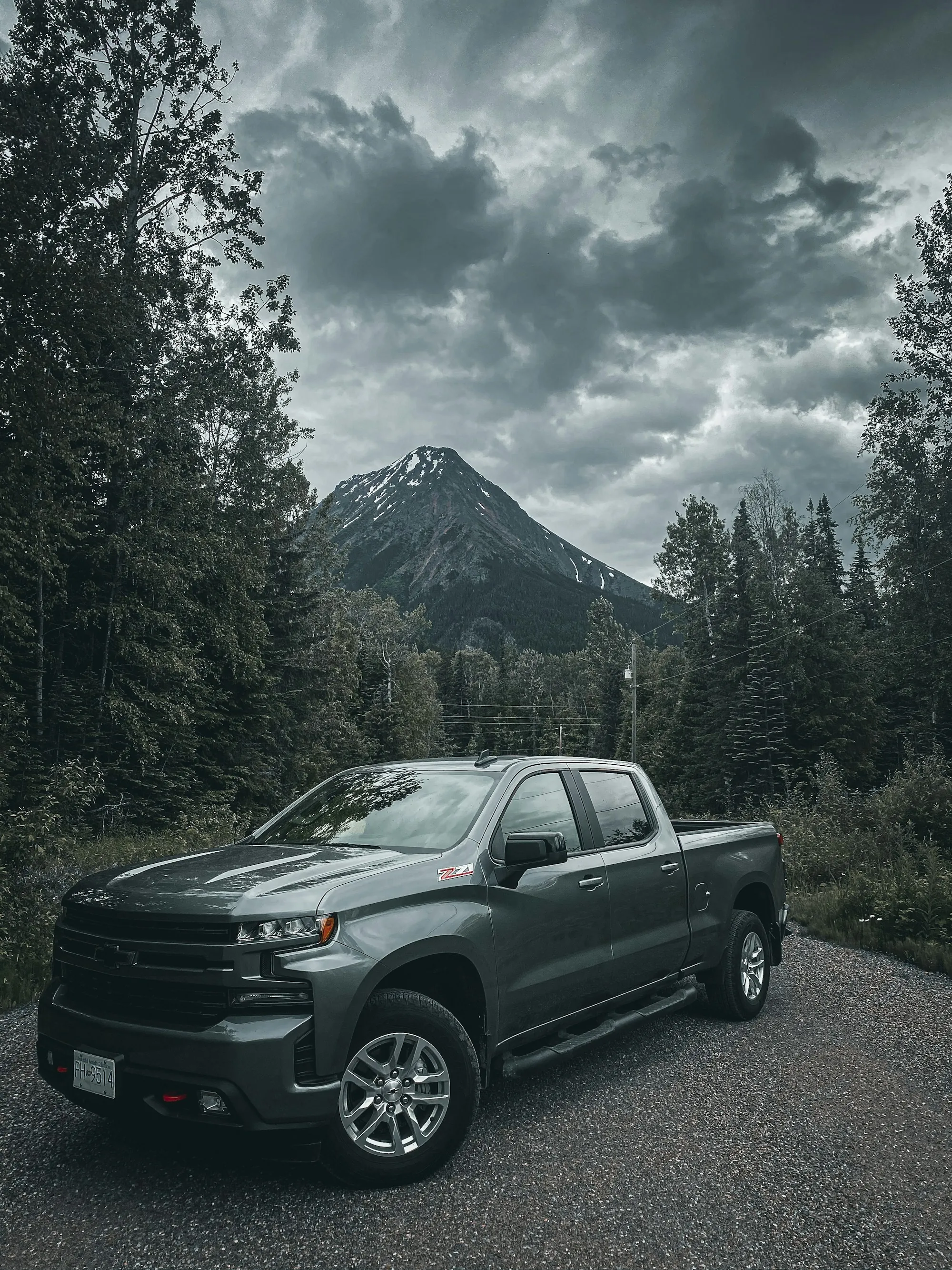 Diesel pickup truck parked among trees in the mountains
